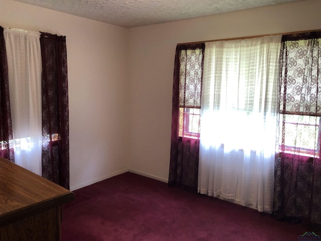 carpeted spare room featuring a textured ceiling