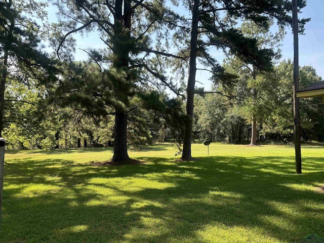 13536 County Road 1117 N, Kilgore, TX 75662 - photo 20