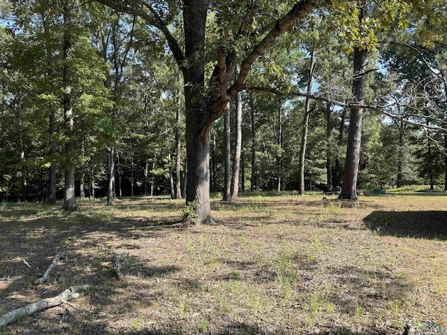 13536 County Road 1117 N, Kilgore, TX 75662 - photo 18