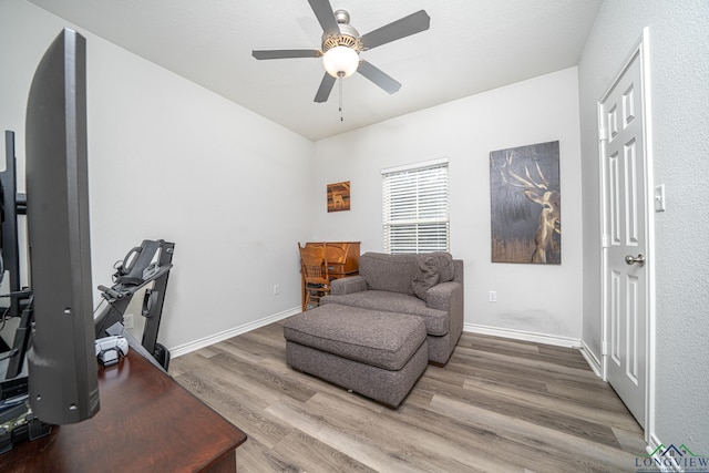 office space with hardwood / wood-style flooring and ceiling fan