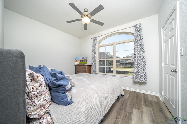 bedroom featuring ceiling fan and dark hardwood / wood-style flooring