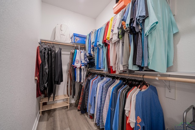 walk in closet with wood-type flooring