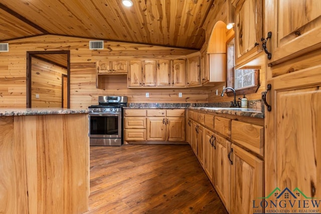 kitchen featuring a sink, gas range, wood walls, and vaulted ceiling