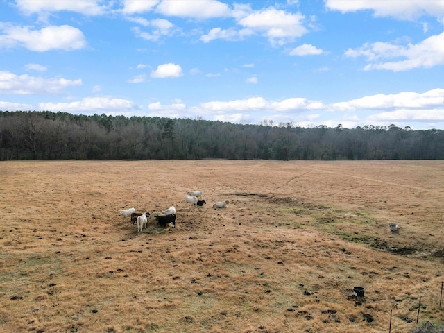 view of yard featuring a rural view