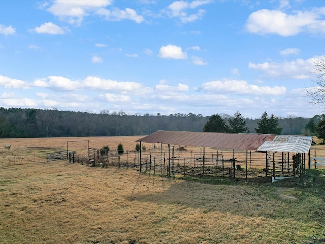 view of yard featuring an outdoor structure and a rural view