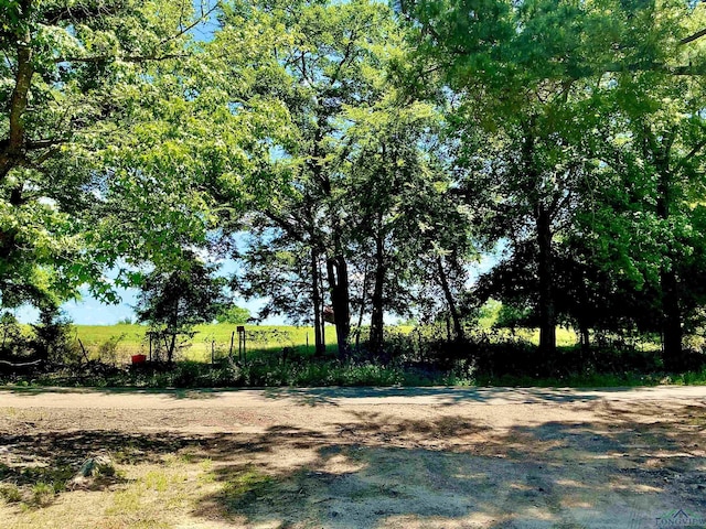 2672 Elk Rd, Gilmer, TX 75644 - photo 4