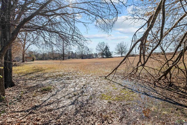 703 Amy St, Canton, TX 75103 - photo 5