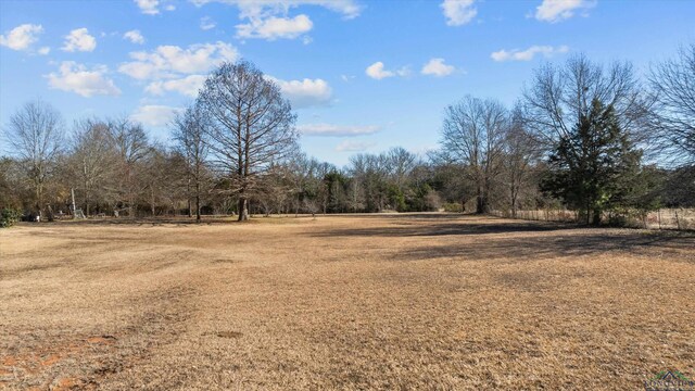 703 Amy St, Canton, TX 75103 - photo 33