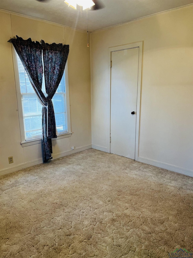 unfurnished room featuring ceiling fan, ornamental molding, and carpet floors