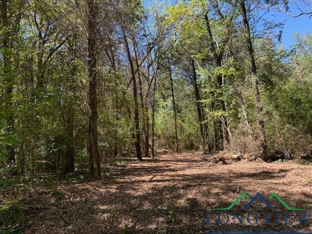 1000 County Road 4365, Mount Pleasant TX, 75455 land for sale