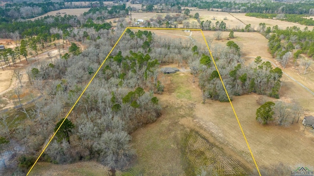 drone / aerial view featuring a rural view