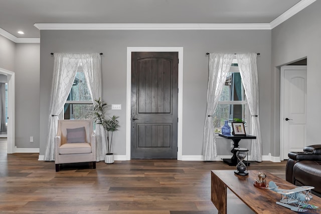 entryway featuring crown molding, plenty of natural light, and dark hardwood / wood-style floors