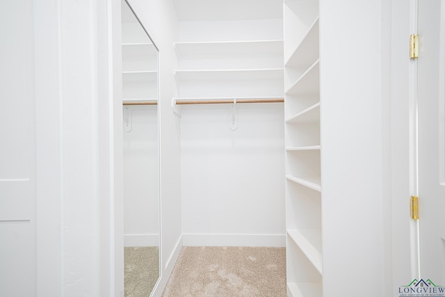 walk in closet featuring light colored carpet