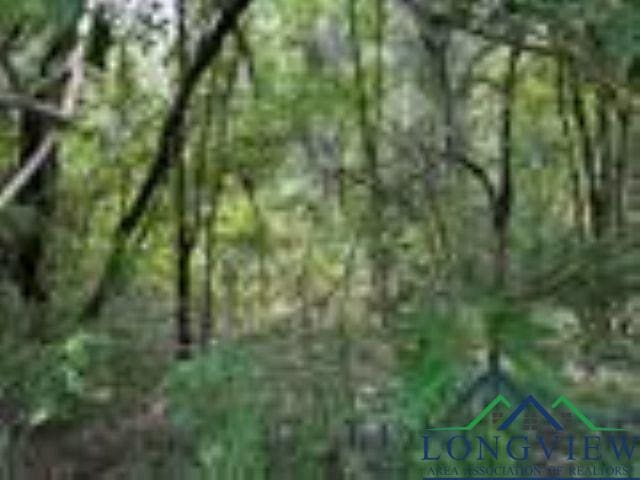 Listing photo 2 for TBD Fm 3384, Pittsburg TX 75686