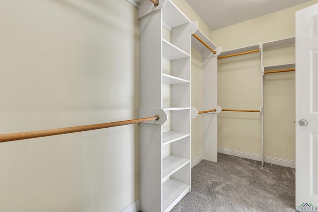 spacious closet with carpet floors