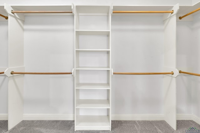 walk in closet with carpet