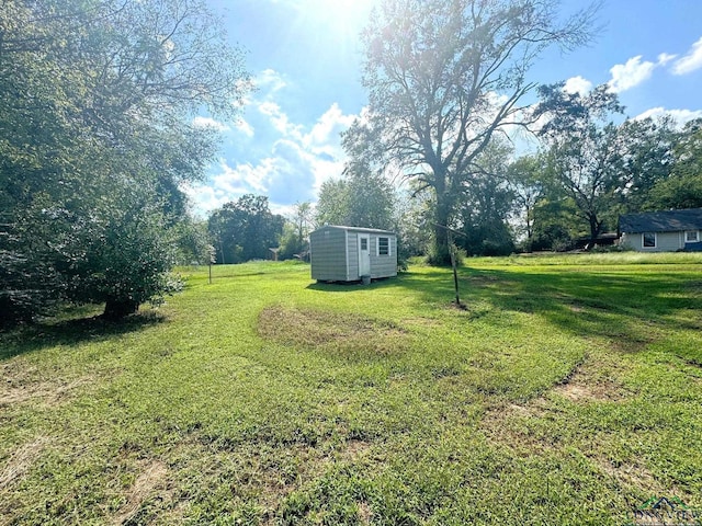 view of yard featuring a storage shed