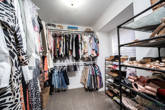 spacious closet with carpet