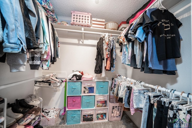 spacious closet featuring carpet flooring