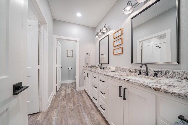 bathroom with hardwood / wood-style flooring, vanity, and toilet