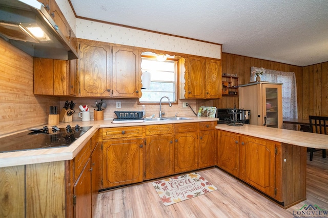 kitchen with sink, light hardwood / wood-style flooring, kitchen peninsula, a textured ceiling, and black electric cooktop