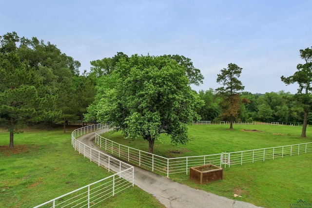 view of yard featuring a rural view