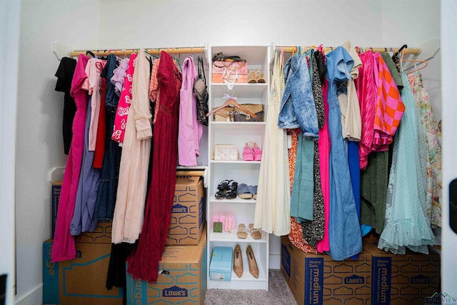 spacious closet featuring carpet floors