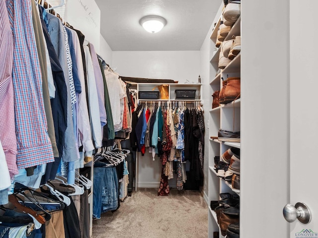 spacious closet featuring light colored carpet