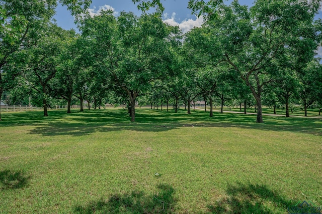 714 Danville Rd, Kilgore, TX 75662 - photo 9