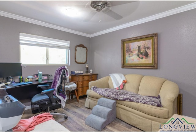 office area featuring ceiling fan, light hardwood / wood-style flooring, and crown molding