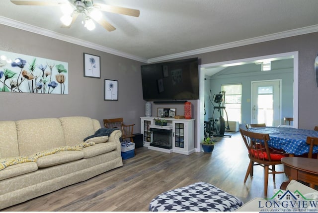 living room with ceiling fan, wood-type flooring, and crown molding