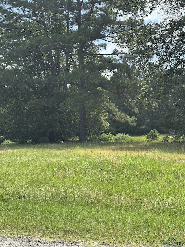 1164 Harkins Ln, Marshall, TX 75672