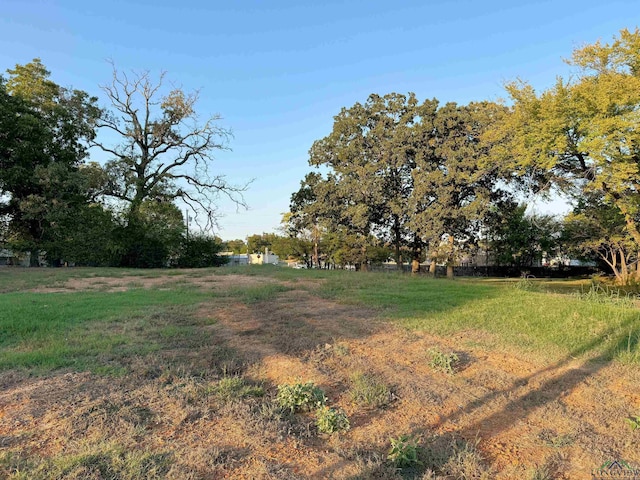 Listing photo 2 for 700 W Cash St, Mount Pleasant TX 75455