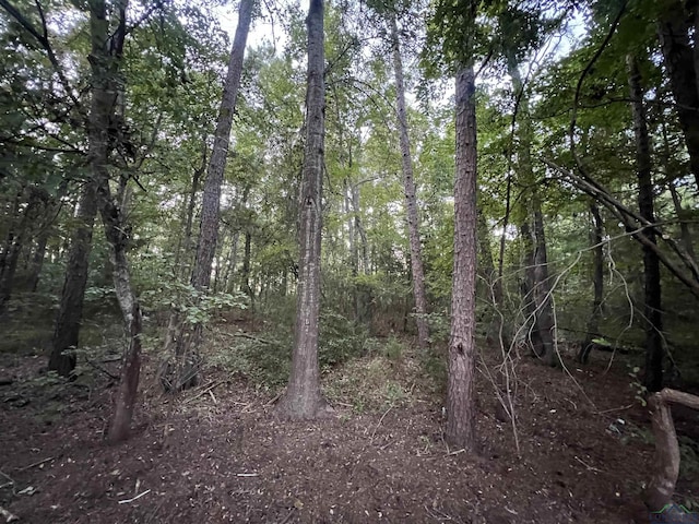 Listing photo 2 for TBD Cactuswood Rd, Gilmer TX 75645