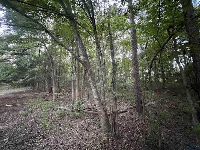 Listing photo 3 for TBD Cactuswood Rd, Gilmer TX 75645