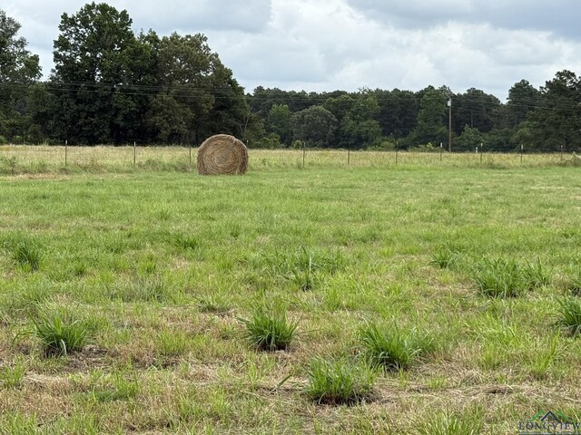 8771 Fm 993, Pittsburg, TX 75686 - photo 13