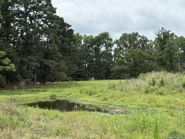 8771 Fm 993, Pittsburg, TX 75686 - photo 7