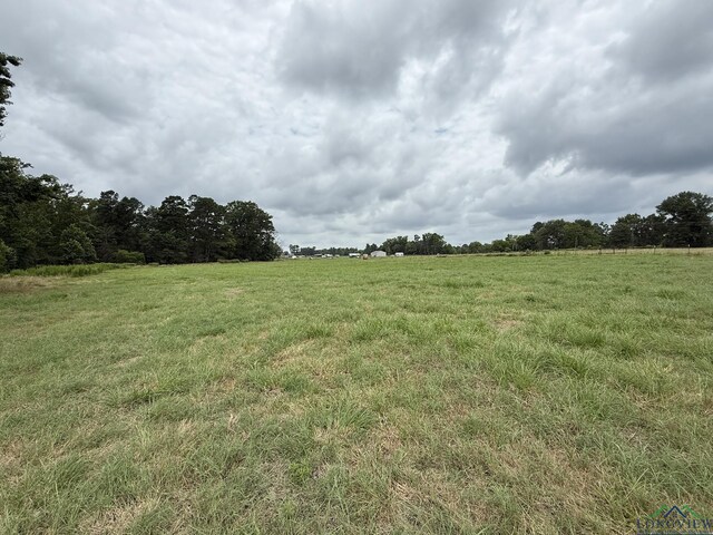 8771 Fm 993, Pittsburg, TX 75686 - photo 3
