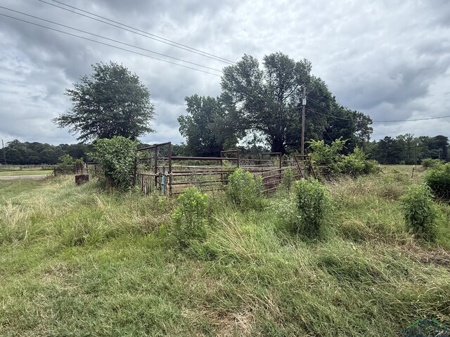 8771 Fm 993, Pittsburg, TX 75686 - photo 19