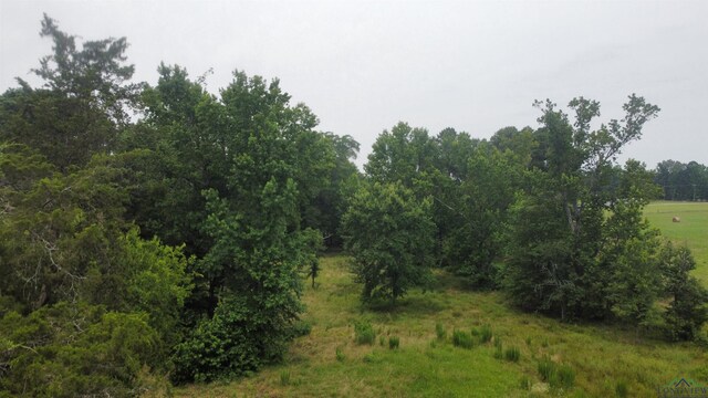 8771 Fm 993, Pittsburg, TX 75686 - photo 37