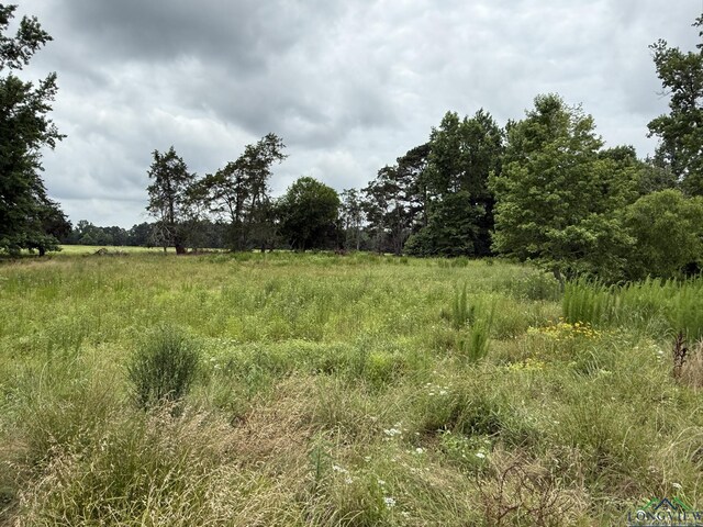 8771 Fm 993, Pittsburg, TX 75686 - photo 24