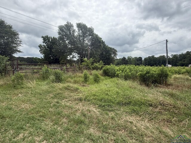 8771 Fm 993, Pittsburg, TX 75686 - photo 18