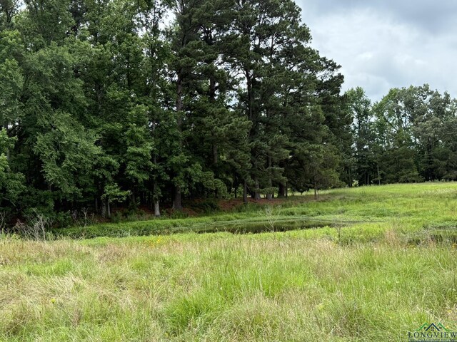 8771 Fm 993, Pittsburg, TX 75686 - photo 4