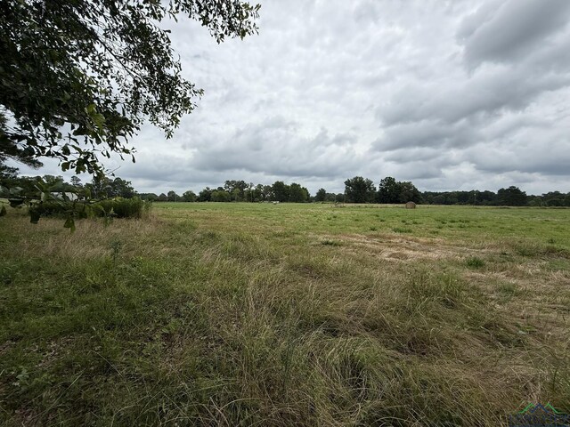 8771 Fm 993, Pittsburg, TX 75686 - photo 11