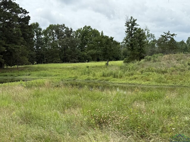 8771 Fm 993, Pittsburg, TX 75686 - photo 5