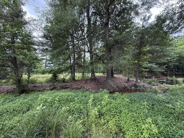 8771 Fm 993, Pittsburg, TX 75686 - photo 25
