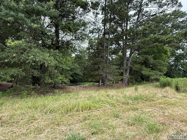 8771 Fm 993, Pittsburg, TX 75686 - photo 14