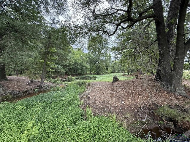 8771 Fm 993, Pittsburg, TX 75686 - photo 10