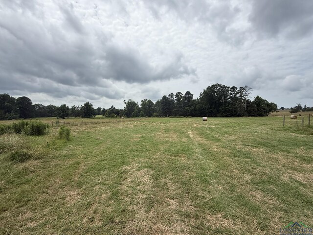 8771 Fm 993, Pittsburg, TX 75686 - photo 17