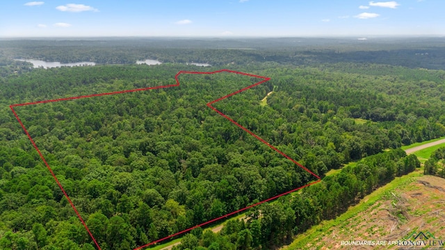 TBD County Road 1596, Avinger, TX 75630 - photo 5